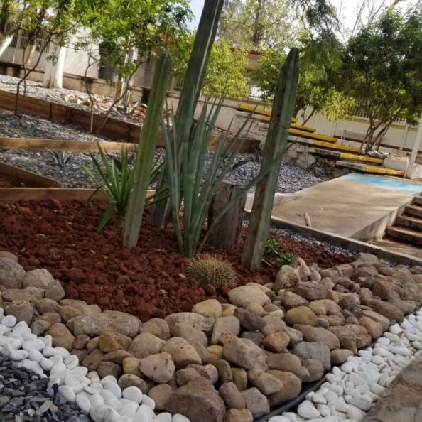 Mantenimineto Areas Deserticas